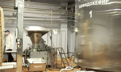 Благовещенский молочный комбинат изменит производственные процессы
