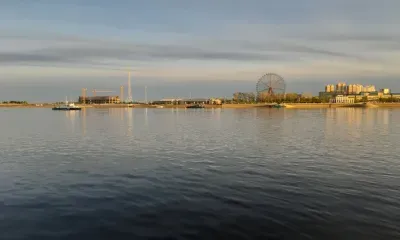 В Амурской области осудили иностранцев, переплывших реку для сбора трав