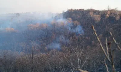 Пожароопасный сезон закрыли в Амурской области