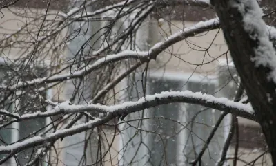 Днем по Амурской области 3 ноября местами по востоку небольшой снег