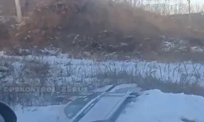 Макет экипажа ДПС снесли на трассе Амурской области 