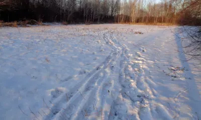 Следы на снегу помогли найти мужчину, укравшего триммер у амурского пенсионера
