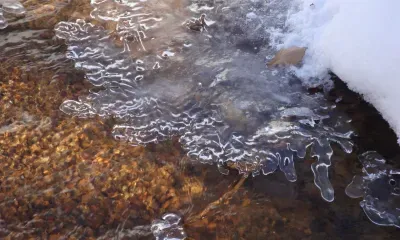 Ераст на всё горазд: и на холод, и на голод, и на бездорожную метелицу