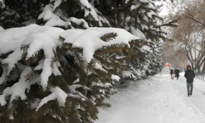 Небольшой снег пройдет на севере Амурской области 21 ноября