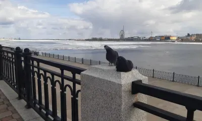 Деньги на центр "Трибуна Холл" и новые спортзалы получит Приамурье