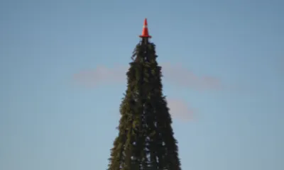 Дорожный конус вместо звезды украсил новогоднюю елку на Сахалине
