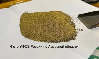 Золото на 3,8 млн рублей изъяли сотрудники ФСБ у жителя Благовещенска 