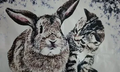 Год Черного Водяного Кролика сулит надежду, плодородие и процветание