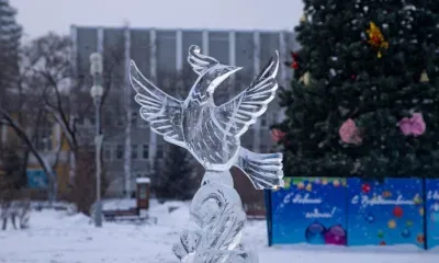 Скульптуры изо льда от молодых художников появятся в Благовещенске