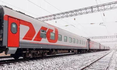 Сурикат, шиншилла и голубь стали самыми необычными животными-путешественниками в поездах дальнего следования в 2022 году