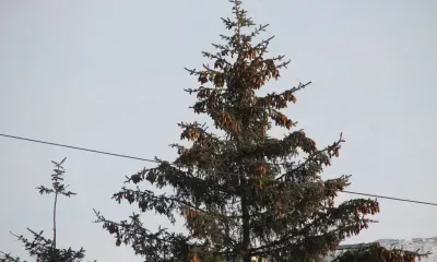 Режим "черного неба" объявили в городах Красноярского края и Хакасии