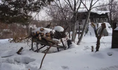 Трехсвятие, Васильев день отмечается 12 февраля