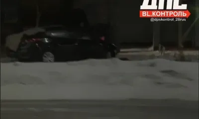 В Благовещенске дерево спасло пешехода от столкновения с автомобилем