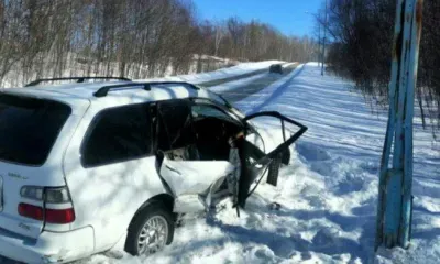 Водитель автомобиля Toyota погиб после столкновения с фонарным столбом в Приамурье
