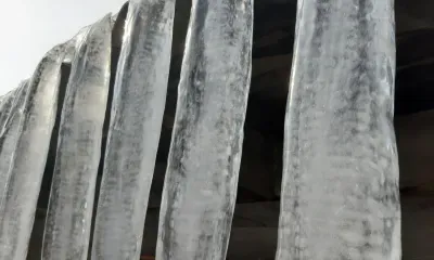 Снегопад и весеннее тепло ждут амурчан в февральские праздники 