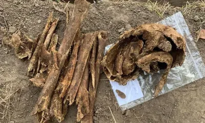 Детский гробик и косички нашли при раскопках в Амурской области
