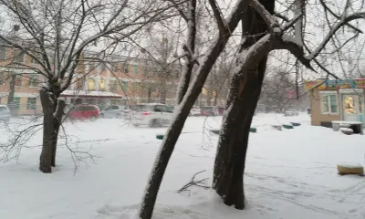 Слабый, умеренный, местами сильный снег по северо-западу Амурской области ожидается днем 10 марта