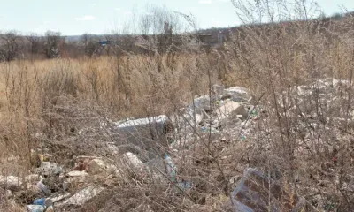 Утилизацию 900 тонн отходов с пестицидами оплатят из бюджета Амурской области