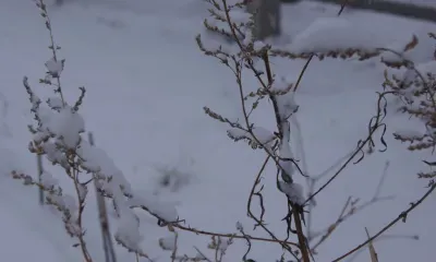 Силы Тихоокеанского флота в Приморье готовы к встрече стихии