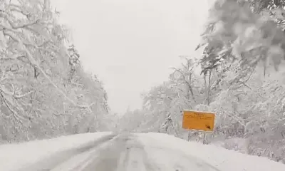 Ночной дождь перешел в мощный снегопад во Владивостоке