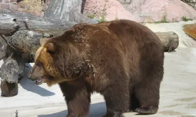 Евтропий путь торопит да снег топит