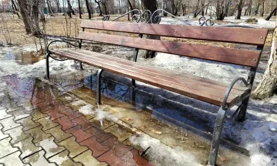 Небольшой снег и уверенное тепло в Амурской области 20 марта 