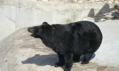 Никифоров день отмечается 26 марта