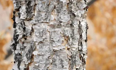 Алексей Теплый: «Алексей - из каждого сугроба кувшин пролей»