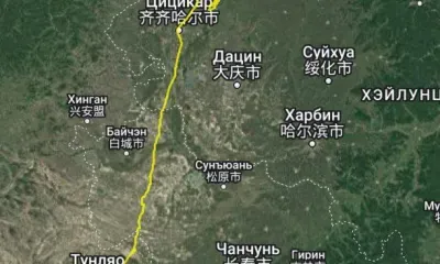 Самка японского журавля с GPS-передатчиком вернулась в Благовещенский округ