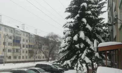 Снег и дождь ожидаются в Амурской области 