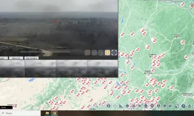 Дым от китайских пожаров распространился в Приамурье