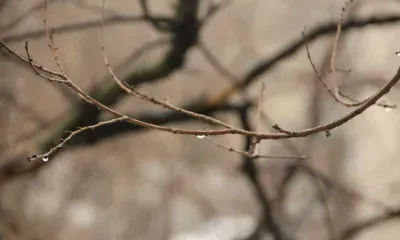Днем в Амурской области 22 апреля местами по центральным и восточным районам небольшие осадки 