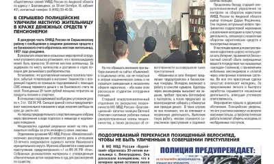 Хитрые мошеннические схемы раскрыли амурчанам полицейские 