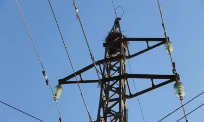 Изменение тарифа на передачу электроэнергии не затронет граждан