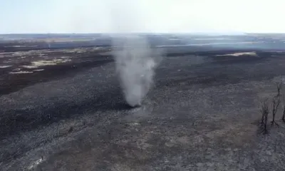 Долина реки, где обитают журавли и аисты, догорела в Амурской области