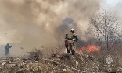 Пожар на полях недалеко от села Чигири тушили более 70 человек