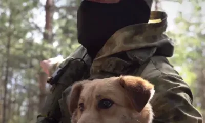 Собака помогает артиллеристам вычислять технику ВСУ 