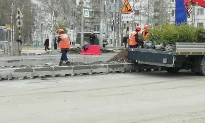 Ели озеленят дорогу на улице Красная Пресня в Тынде