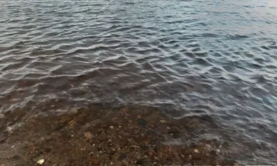 Мэр Белогорска призвал амурчан не экономить на жизни своих детей