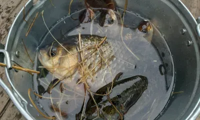 Петр Солнцеворот: «Солнцеворот вершит поворот»