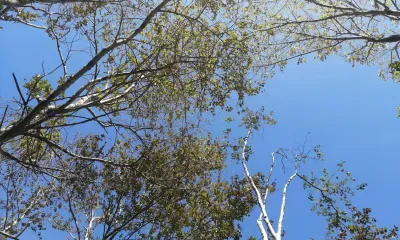 Смысл жизни объяснили россиянам