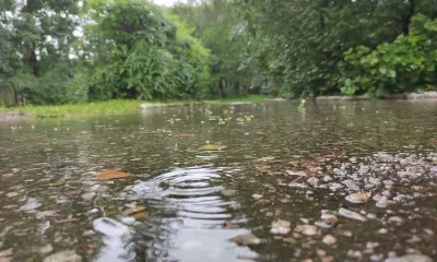 Четыре дождя в критериях опасного явления прошли в июне в Амурской области
