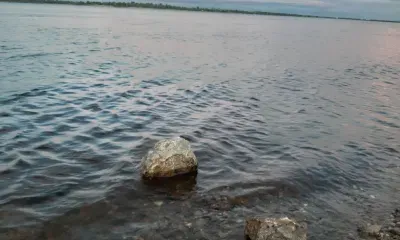 Иван Купала празднуется 7 июля