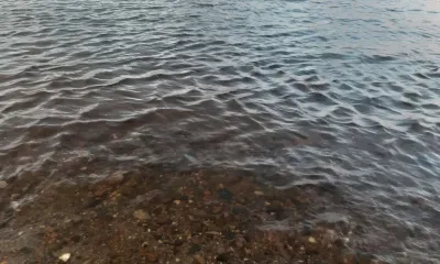 Девочка пропала на реке в Свободненском районе