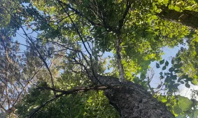 Берегиня - мать всех духов и всех богатств земли