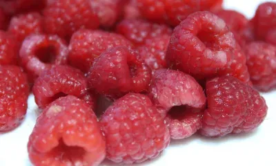 Воздух прогреется до +33 градусов в Амурской области