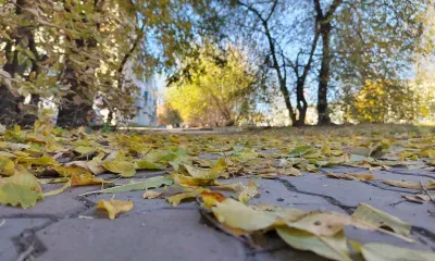 Дожди с грозами задержатся на юге Амурской области