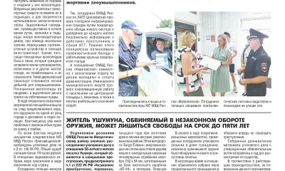 Полицейские рассказали амурчанам о кибермошенниках 