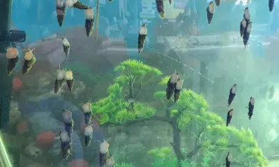 Жизнь паразитов, обитающих только в Приамурье, изучают в медицинском вузе