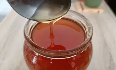 Губернатор Приморья дал блогеру из Китая мастер-класс по откачке меда 